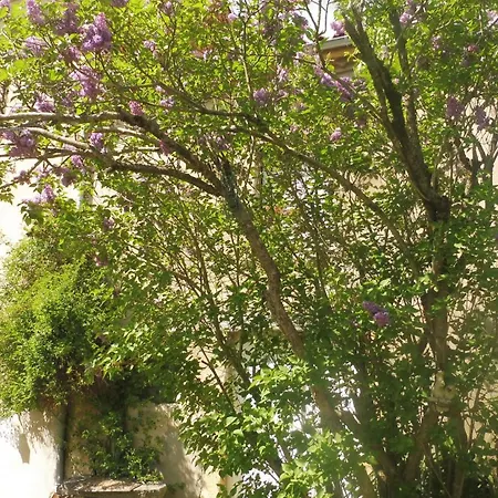 Σπίτι διακοπών Grande Maison Au Calme, Campagne Et Nature 10 Pers Aubiat