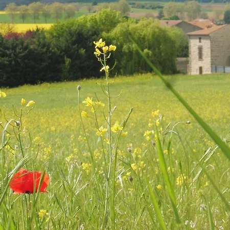 Grande Maison Au Calme, Campagne Et Nature 10 Pers Σπίτι διακοπών Aubiat