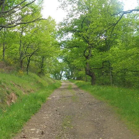 Σπίτι διακοπών Grande Maison Au Calme, Campagne Et Nature 10 Pers *