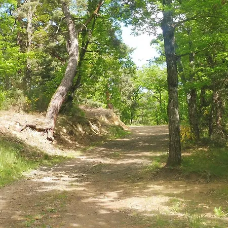 Grande Maison Au Calme, Campagne Et Nature 10 Pers Aubiat