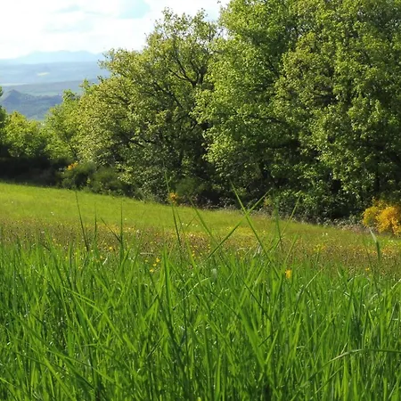 Grande Maison Au Calme, Campagne Et Nature 10 Pers Aubiat