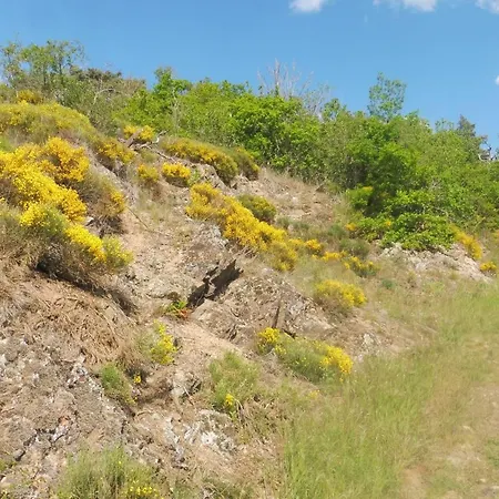 Grande Maison Au Calme, Campagne Et Nature 10 Pers Aubiat