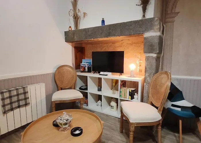 Grande Maison Au Calme, Campagne Et Nature 10 Pers Holiday home Aubiat